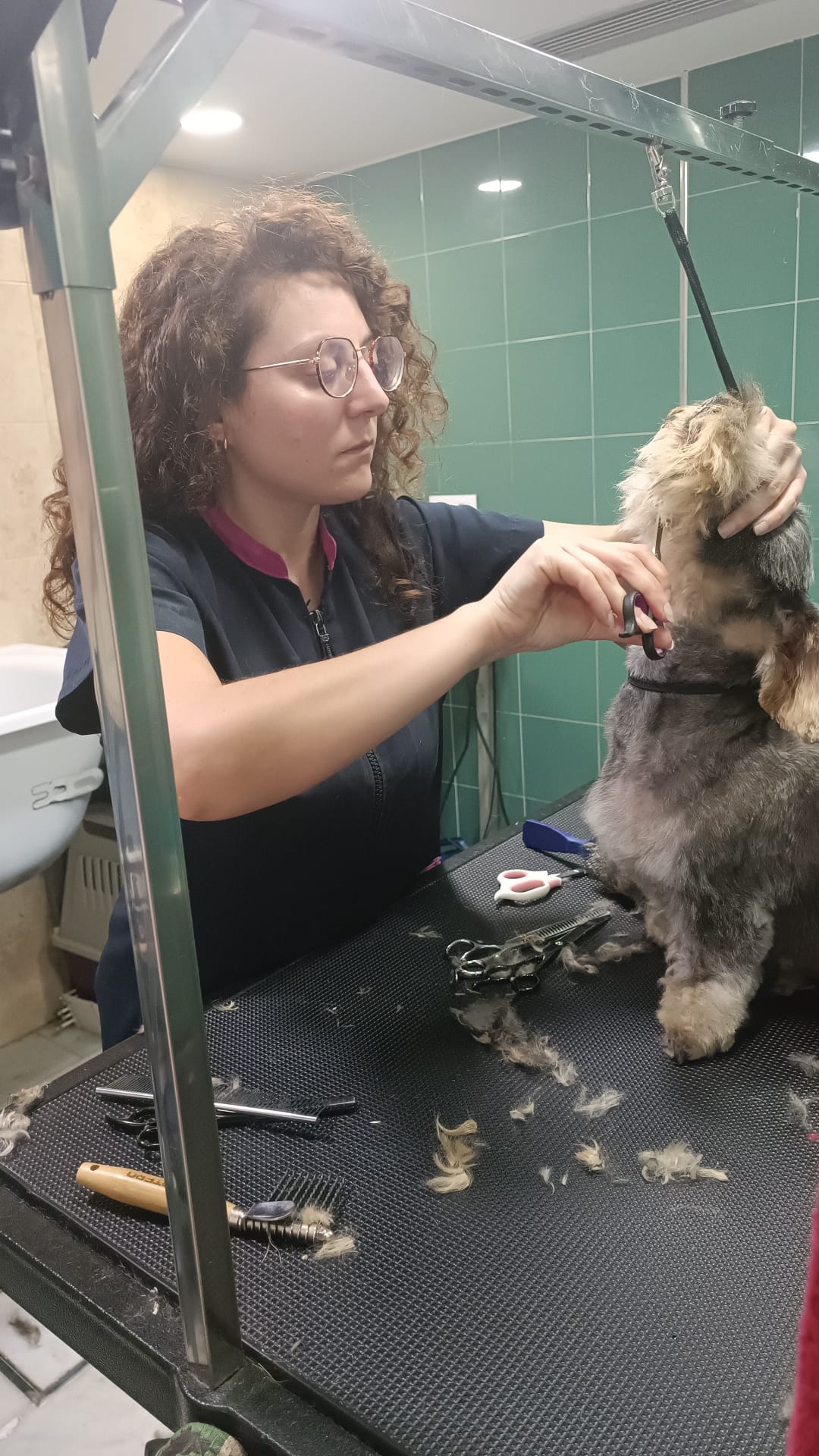 Servicio de grooming y corte de pelo