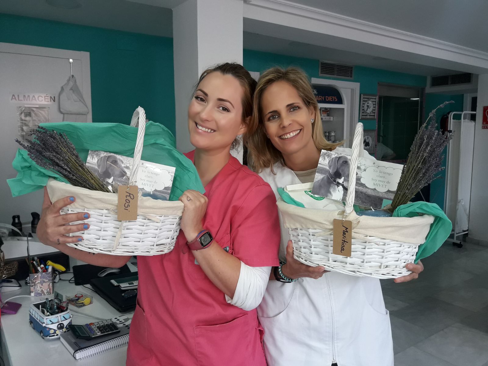Veterinario profesional examinando canino con cuidado y atención veterinaria de calidad