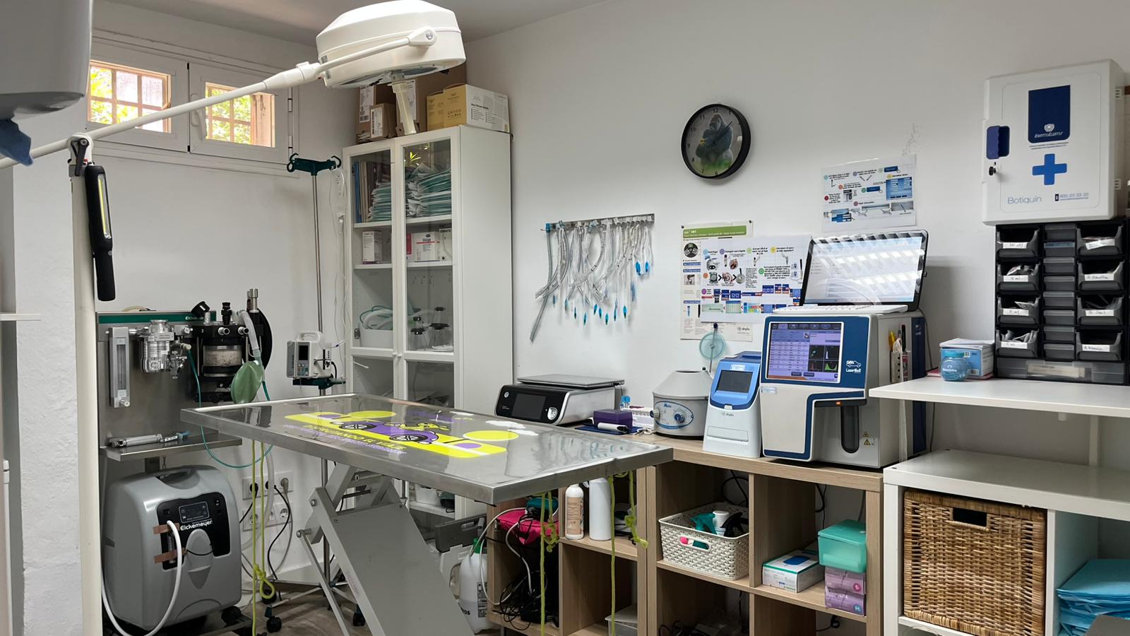 Sala de consulta trabajando