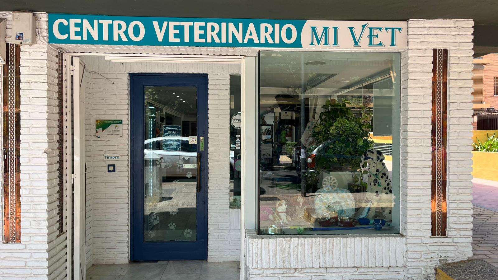 Recepción de MiVet Centro Veterinario - Equipo profesional de veterinarios y técnicos en instalaciones modernas