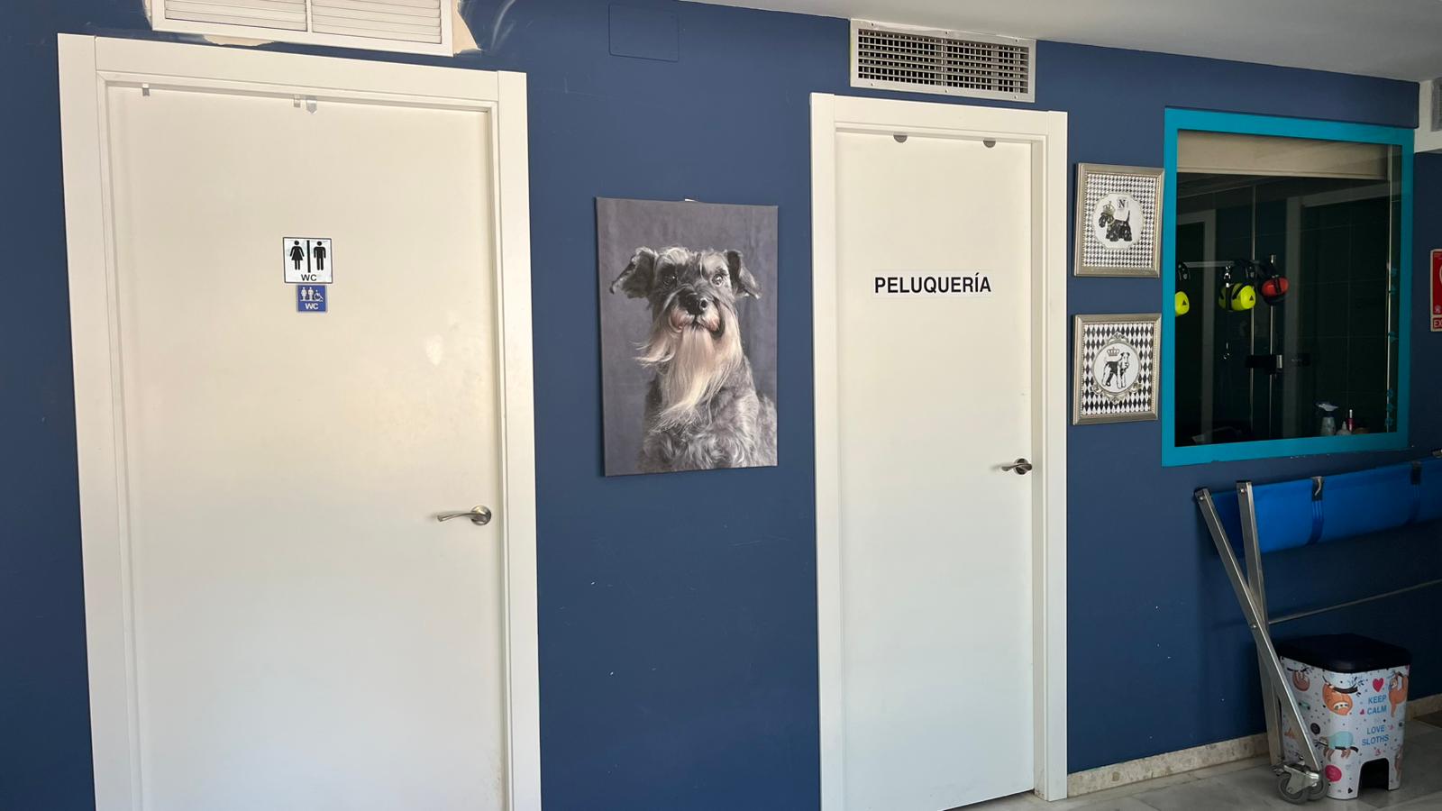 Servicio de grooming y corte de pelo